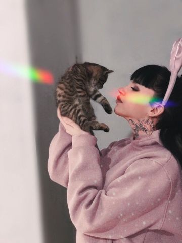 Стелла